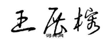 曾庆福王展榕草书个性签名怎么写