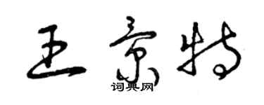 曾庆福王景特草书个性签名怎么写