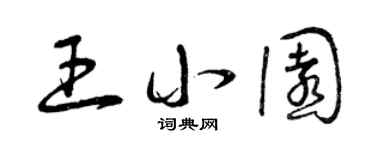 曾庆福王小园草书个性签名怎么写