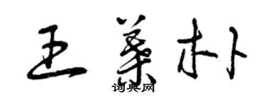 曾庆福王叶朴草书个性签名怎么写