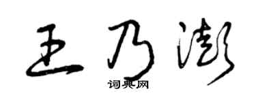 曾庆福王乃澎草书个性签名怎么写