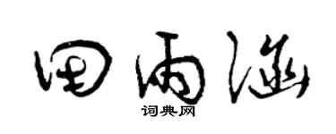 曾庆福田雨涵草书个性签名怎么写