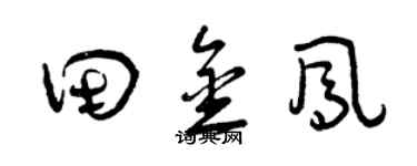 曾庆福田金凤草书个性签名怎么写