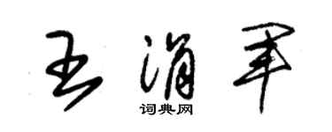 朱锡荣王涓军草书个性签名怎么写