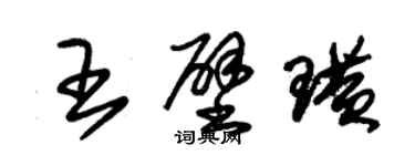 朱锡荣王壁璜草书个性签名怎么写