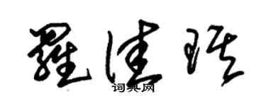 朱锡荣罗佳琪草书个性签名怎么写