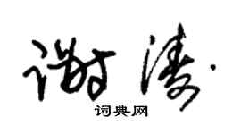 朱锡荣谢涛草书个性签名怎么写