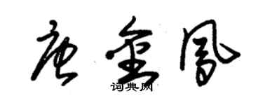 朱锡荣唐金凤草书个性签名怎么写