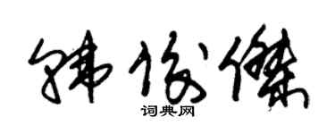 朱锡荣韩俊杰草书个性签名怎么写