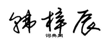朱锡荣韩梓辰草书个性签名怎么写