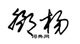 朱锡荣邓杨草书个性签名怎么写