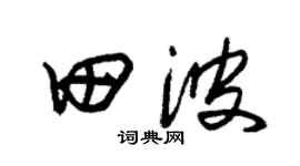 朱锡荣田波草书个性签名怎么写
