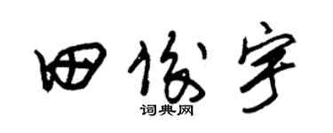 朱锡荣田俊宇草书个性签名怎么写