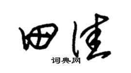 朱锡荣田佳草书个性签名怎么写