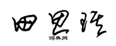 朱锡荣田思琪草书个性签名怎么写