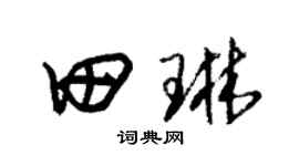 朱锡荣田琳草书个性签名怎么写