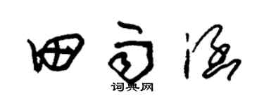 朱锡荣田雨涵草书个性签名怎么写