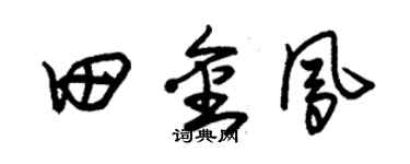 朱锡荣田金凤草书个性签名怎么写