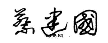 朱锡荣蔡建国草书个性签名怎么写