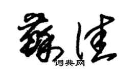 朱锡荣苏佳草书个性签名怎么写