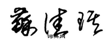 朱锡荣苏佳琪草书个性签名怎么写
