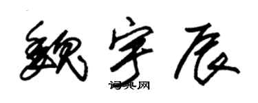 朱锡荣魏宇辰草书个性签名怎么写