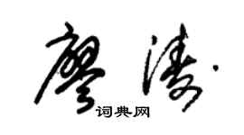 朱锡荣廖涛草书个性签名怎么写