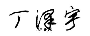 朱锡荣丁泽宇草书个性签名怎么写