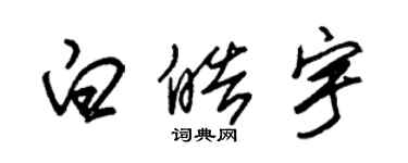 朱锡荣白皓宇草书个性签名怎么写