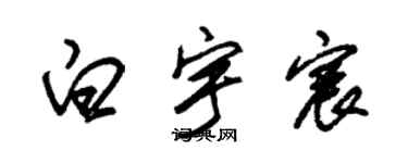 朱锡荣白宇宸草书个性签名怎么写