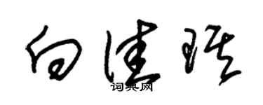 朱锡荣向佳琪草书个性签名怎么写