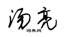 朱锡荣汤亮草书个性签名怎么写