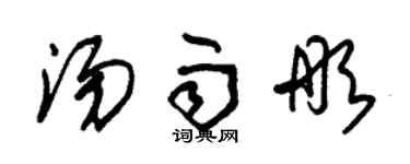 朱锡荣汤雨彤草书个性签名怎么写