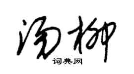 朱锡荣汤柳草书个性签名怎么写