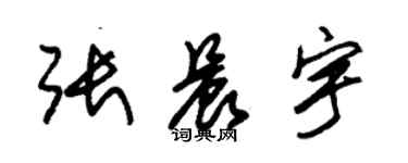 朱锡荣张晨宇草书个性签名怎么写