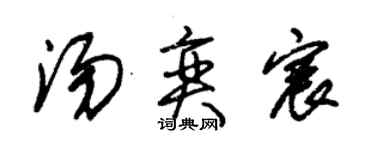 朱锡荣汤奕宸草书个性签名怎么写