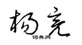 曾庆福杨亮草书个性签名怎么写