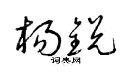 曾庆福杨锐草书个性签名怎么写