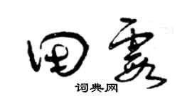 曾庆福田霞草书个性签名怎么写