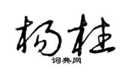 曾庆福杨柱草书个性签名怎么写