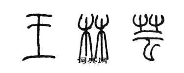 陈墨王林芸篆书个性签名怎么写