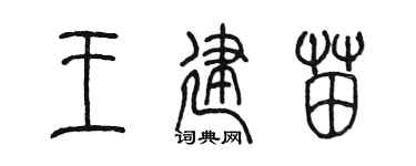 陈墨王建苗篆书个性签名怎么写