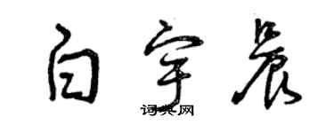 曾庆福白宇晨草书个性签名怎么写
