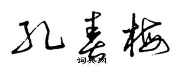 曾庆福孔春梅草书个性签名怎么写