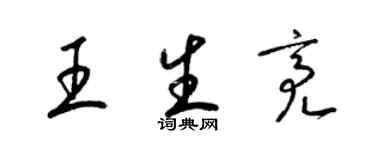 梁锦英王生亮草书个性签名怎么写