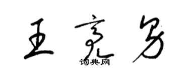 梁锦英王亮男草书个性签名怎么写