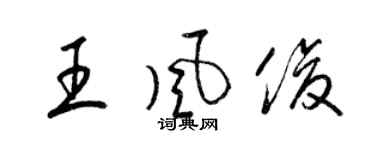 梁锦英王风俊草书个性签名怎么写