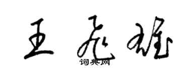 梁锦英王飞雄草书个性签名怎么写