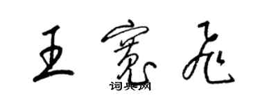 梁锦英王宽飞草书个性签名怎么写