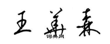 梁锦英王华森草书个性签名怎么写
